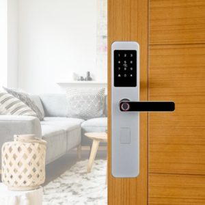 cerradura inteligente manija plateada en acero inoxidable 304 para intemperie con instalacion incluida.