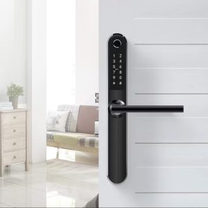 cerradura inteligente de acero inoxidable en color negro y plateada con clave, tarjeta, llave, app ttlock para airbnb / con intalacion incluida.